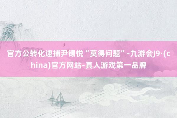 官方公转化逮捕尹锡悦“莫得问题”-九游会J9·(china)官方网站-真人游戏第一品牌