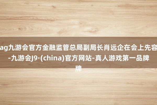 ag九游会官方　　金融监管总局副局长肖远企在会上先容-九游会J9·(china)官方网站-真人游戏第一品牌