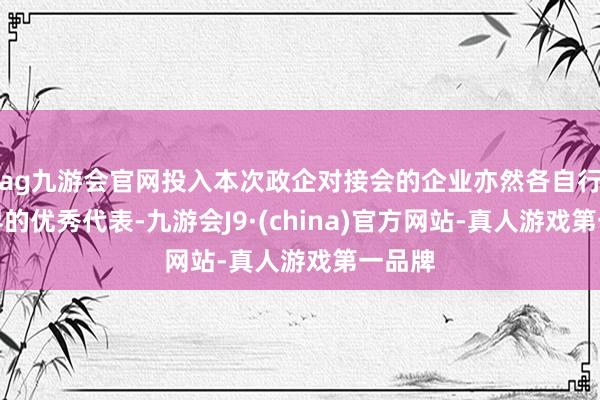 ag九游会官网投入本次政企对接会的企业亦然各自行业边界的优秀代表-九游会J9·(china)官方网站-真人游戏第一品牌