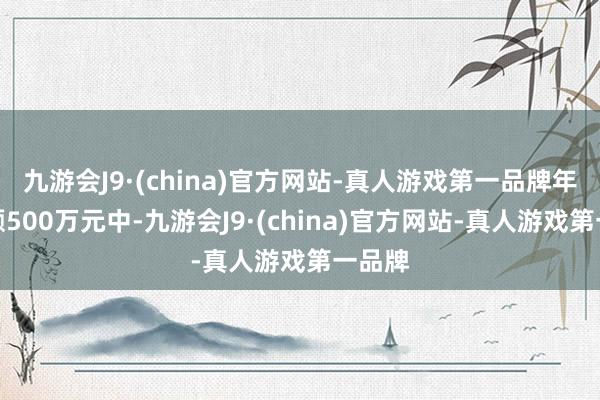 九游会J9·(china)官方网站-真人游戏第一品牌年末余额500万元中-九游会J9·(china)官方网站-真人游戏第一品牌