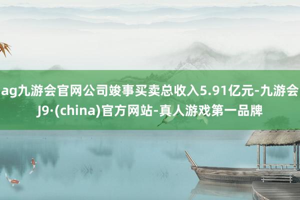 ag九游会官网公司竣事买卖总收入5.91亿元-九游会J9·(china)官方网站-真人游戏第一品牌