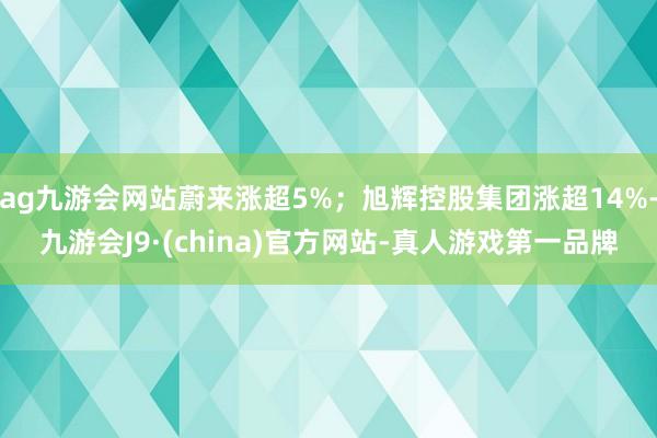 ag九游会网站蔚来涨超5%；旭辉控股集团涨超14%-九游会J9·(china)官方网站-真人游戏第一品牌