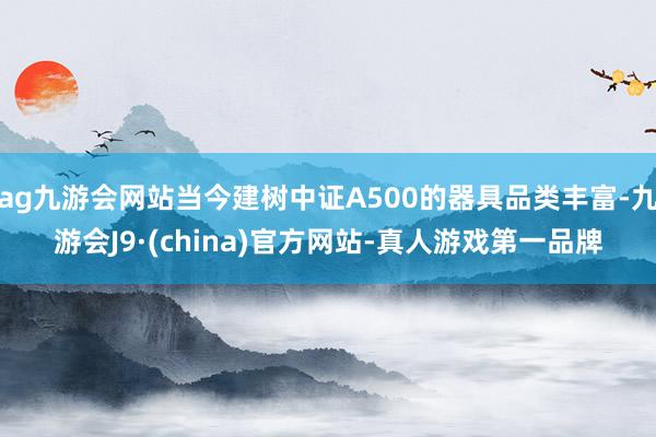 ag九游会网站当今建树中证A500的器具品类丰富-九游会J9·(china)官方网站-真人游戏第一品牌