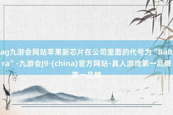 ag九游会网站苹果新芯片在公司里面的代号为“Baltra”-九游会J9·(china)官方网站-真人游戏第一品牌